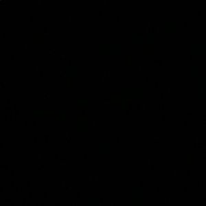 Meet your Posher, Ella